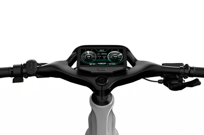 Mercedes-AMG PETRONAS F1® Team City Edition 750 Electric Bike