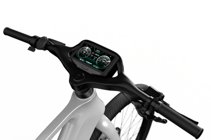 Mercedes-AMG PETRONAS F1® Team City Edition 750 Electric Bike