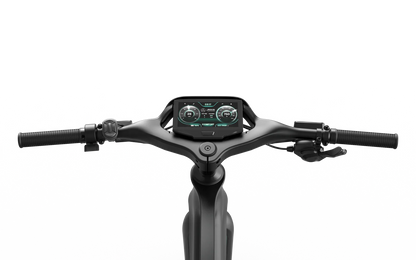 Mercedes-AMG PETRONAS F1® Team Track Edition 750 Electric Bike