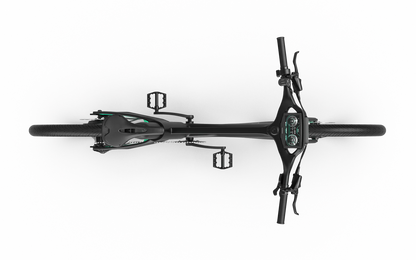 Mercedes-AMG PETRONAS F1® Team Track Edition 750 Electric Bike