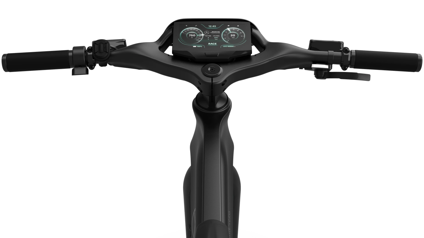 Mercedes-AMG PETRONAS F1® Team Track Edition 750 Electric Bike