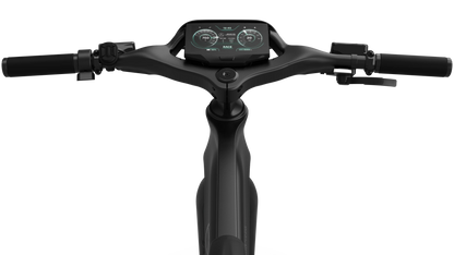 Mercedes-AMG PETRONAS F1® Team Track Edition 750 Electric Bike