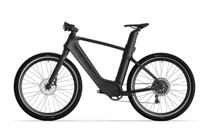 Mercedes-AMG PETRONAS F1® Team Track Edition 750 Electric Bike